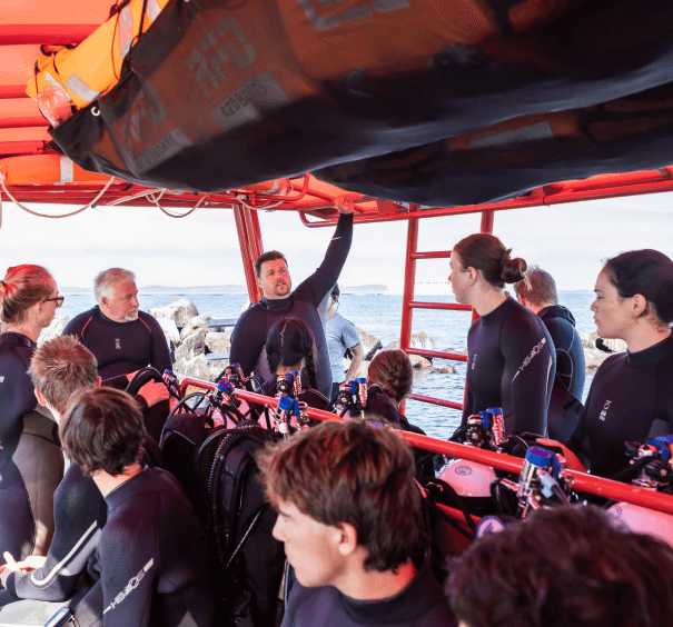 these tours cater to school-aged children, introducing them to the wonders of diving.